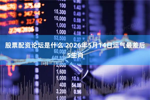 股票配资论坛是什么 2026年5月14日运气最差后5生肖