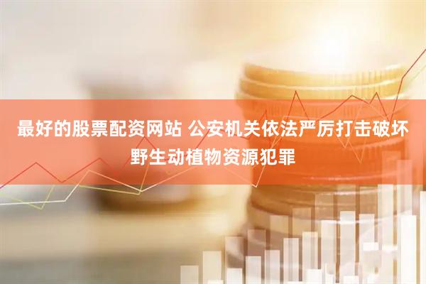 最好的股票配资网站 公安机关依法严厉打击破坏野生动植物资源犯罪